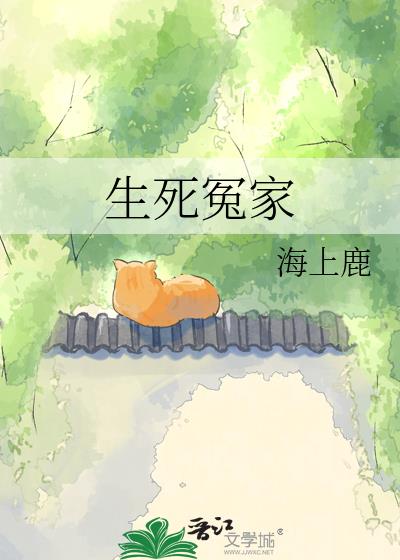 生死冤家小說封面