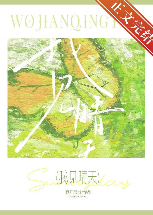 我見晴天小說封面