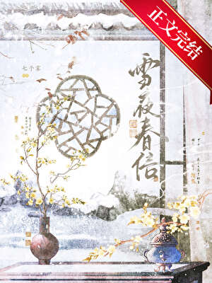 雪夜春信小說封面