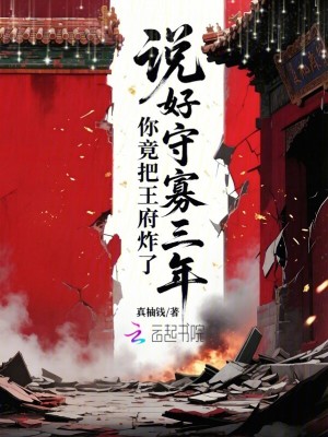說好守寡三年，你竟把王府炸了小說封面