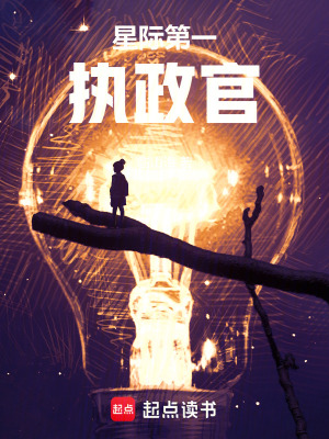 星際第一執政官小說封面