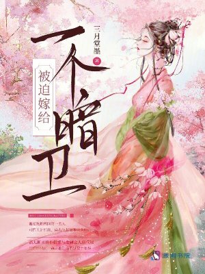 被迫嫁給一個暗衛小說封面