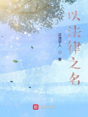 以法律之名小說封面圖