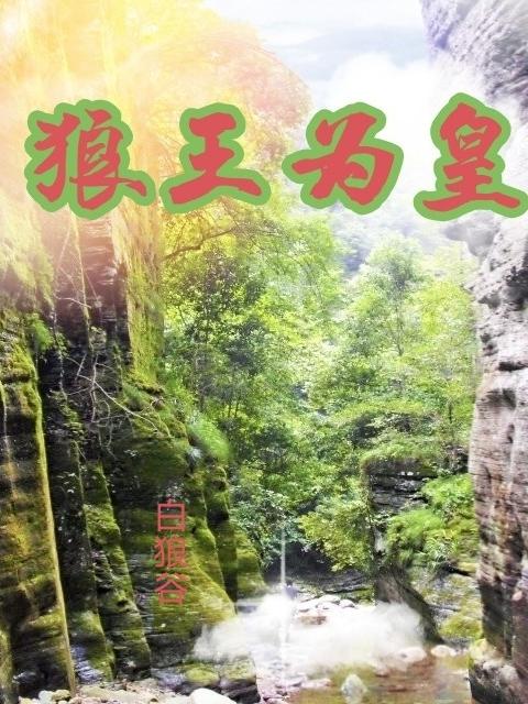 狼王為皇小說封面