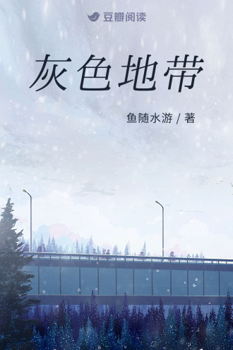 灰色地帶小說封面