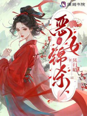 惡女錦殺小說封面