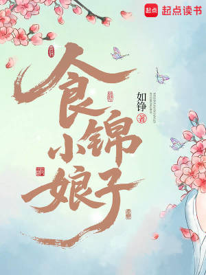 食錦小娘子小說封面