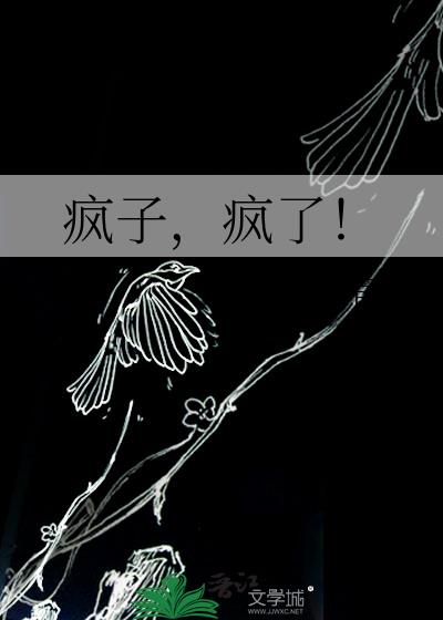 瘋子，瘋了！小說封面