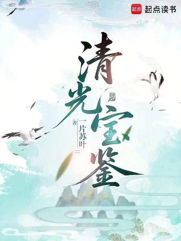 清光寶鑑小說封面
