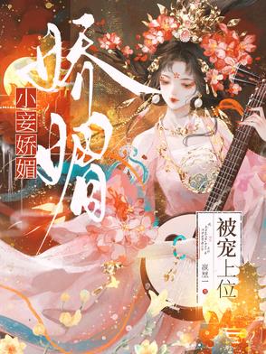 小妾嬌媚，被寵上位小說封面