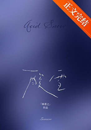 酸雪小說封面