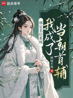 繫結名臣系統，我成了當朝首輔小說封面圖