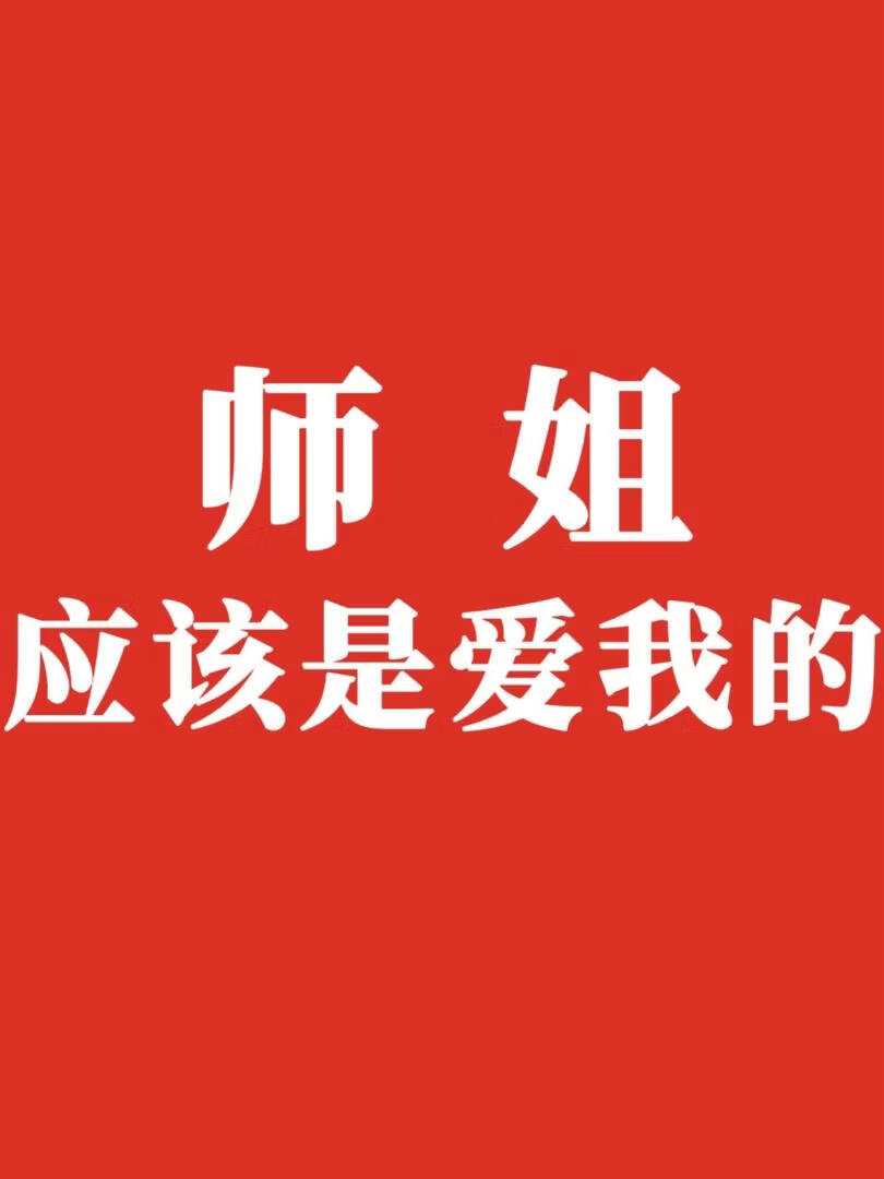 如何成為仙首的道侶小說封面