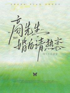 商先生，婚後請熱戀小說封面