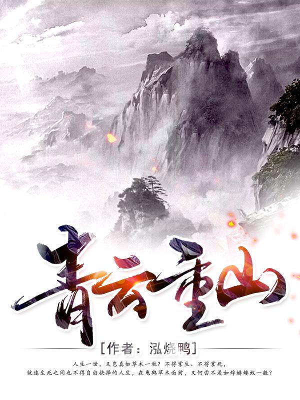 青雲重山小說封面
