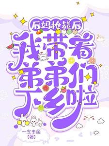 後媽槍斃後，我帶著弟弟們下鄉啦小說封面