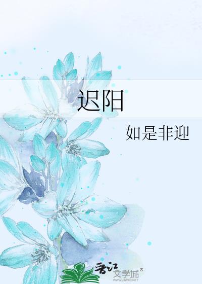 遲陽小說封面