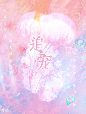 追寵小說封面圖