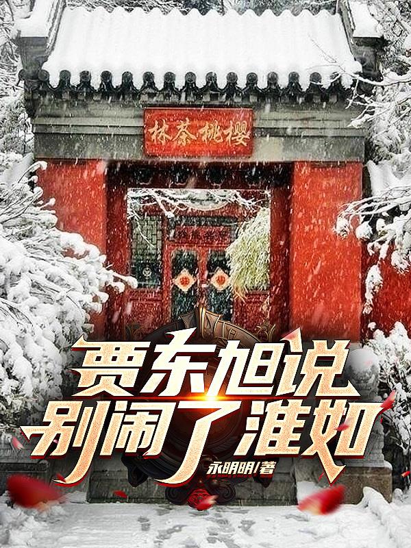 賈東旭說，別鬧了淮如小說封面
