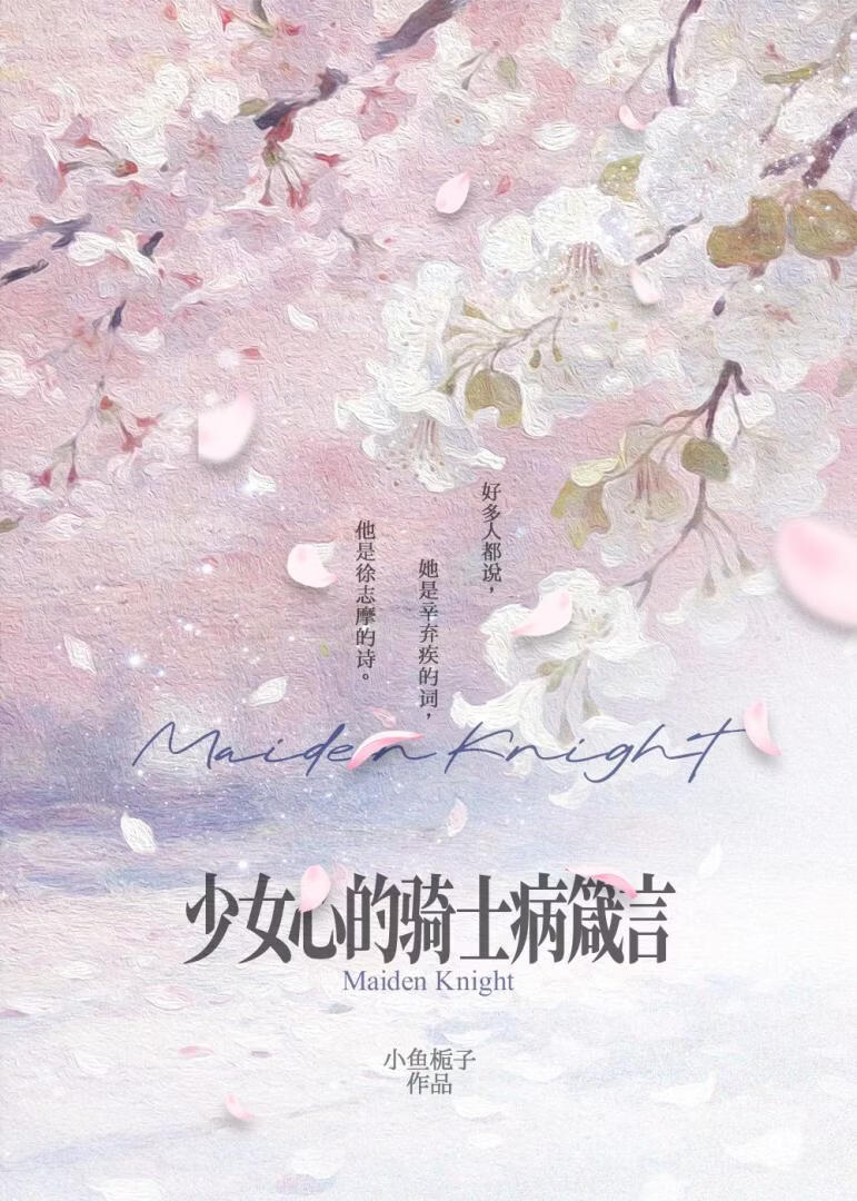 少女心的騎士病箴言小說封面