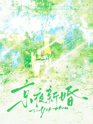 京夜新婚小說封面圖