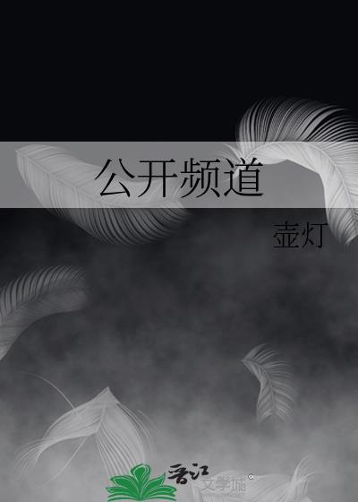 公開頻道小說封面