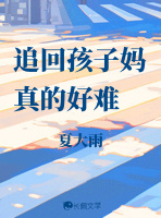 追回孩子媽真的好難小說封面