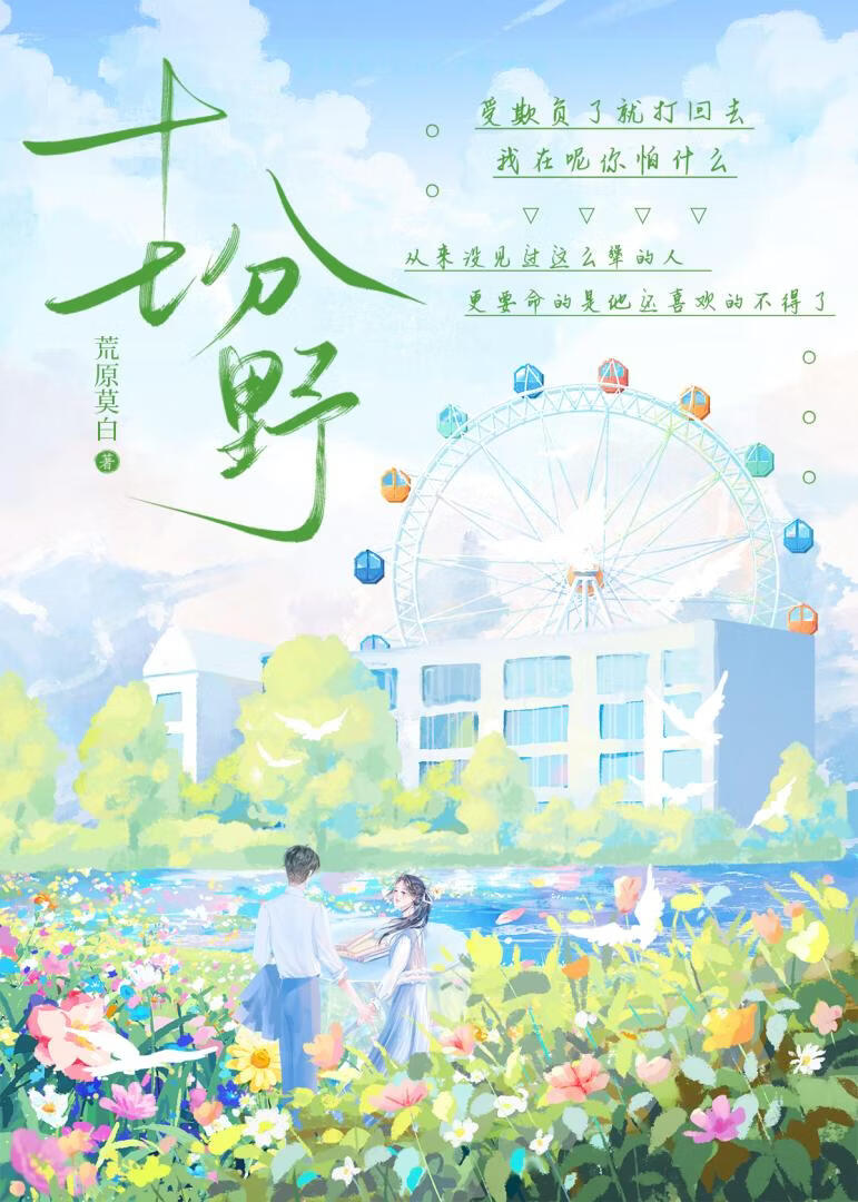 十七分野小說封面