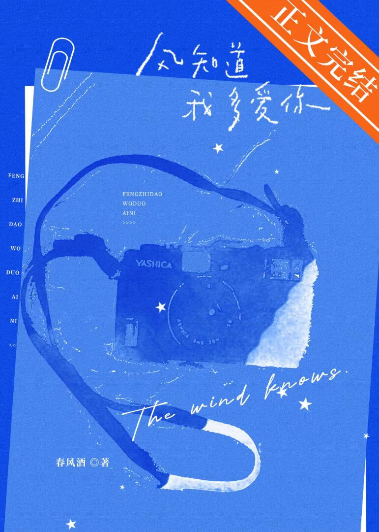 風知道我多愛你小說封面