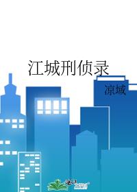 江城刑偵錄小說封面圖