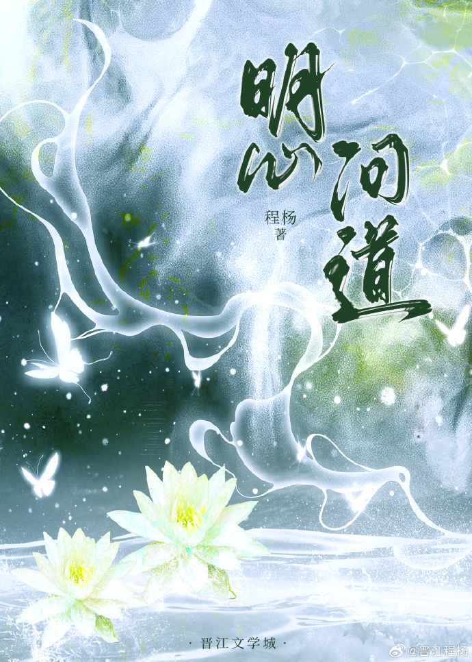 明心問道小說封面