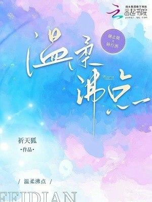 溫柔沸點小說封面圖