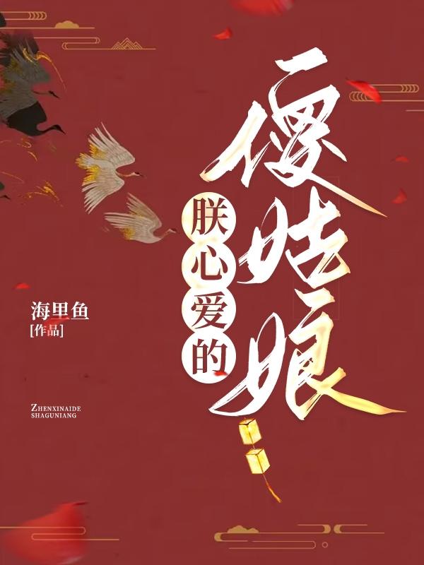 朕心愛的傻姑娘小說封面