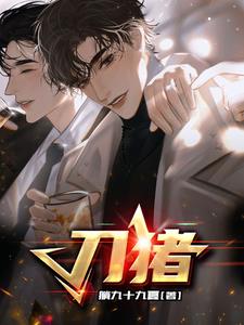 刀豬小說封面