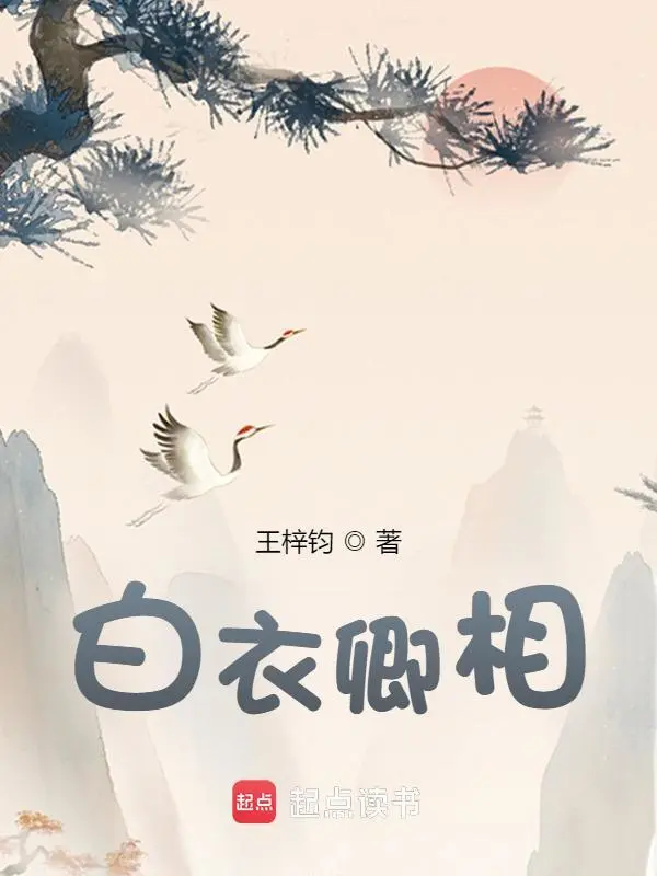 白衣卿相小說封面