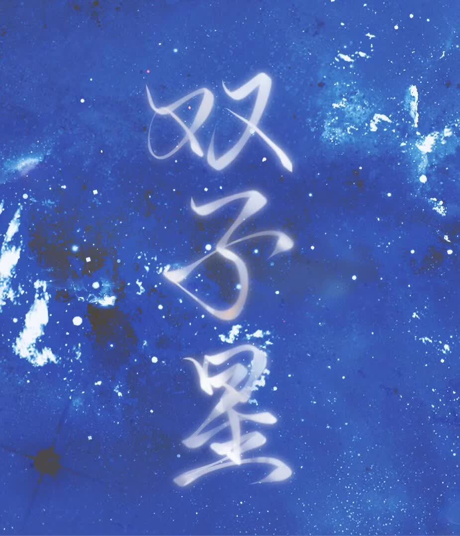 雙子星小說封面