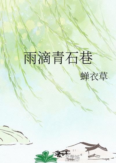 雨滴青石巷小說封面