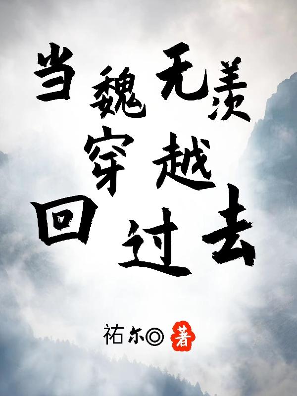 當魏無羨穿越回過去小說封面