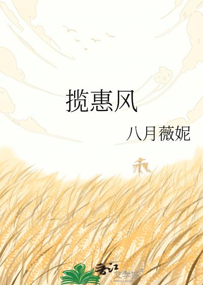 攬惠風小說封面