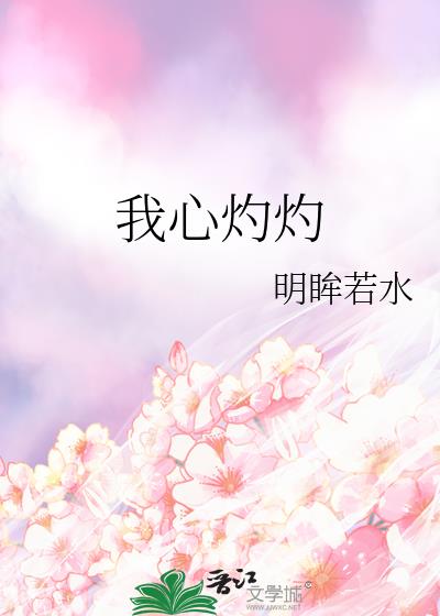 我心灼灼小說封面