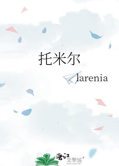 托米爾小說封面圖