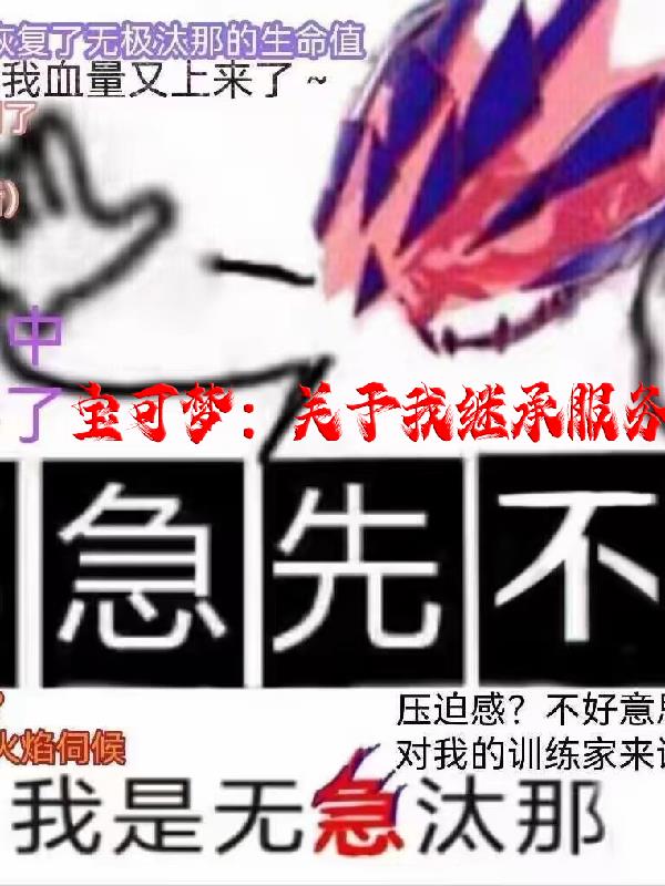 寶可夢：關於我繼承伺服器存檔小說封面