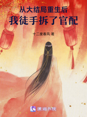 從大結局重生後，我徒手拆了官配小說封面