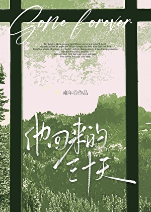 他回來的三十天小說封面