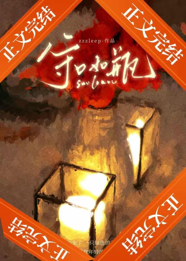 守口如瓶小說封面