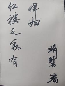 紅樓之家有悍婦小說封面