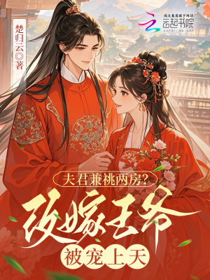 夫君兼祧兩房？改嫁王爺被寵上天小說封面