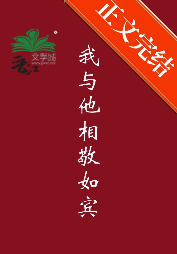我與他相敬如賓小說封面