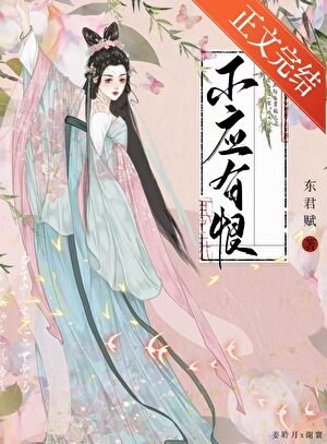 不應有恨（雙重生）小說封面