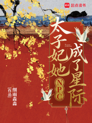 太子妃她成了星際NPC小說封面圖